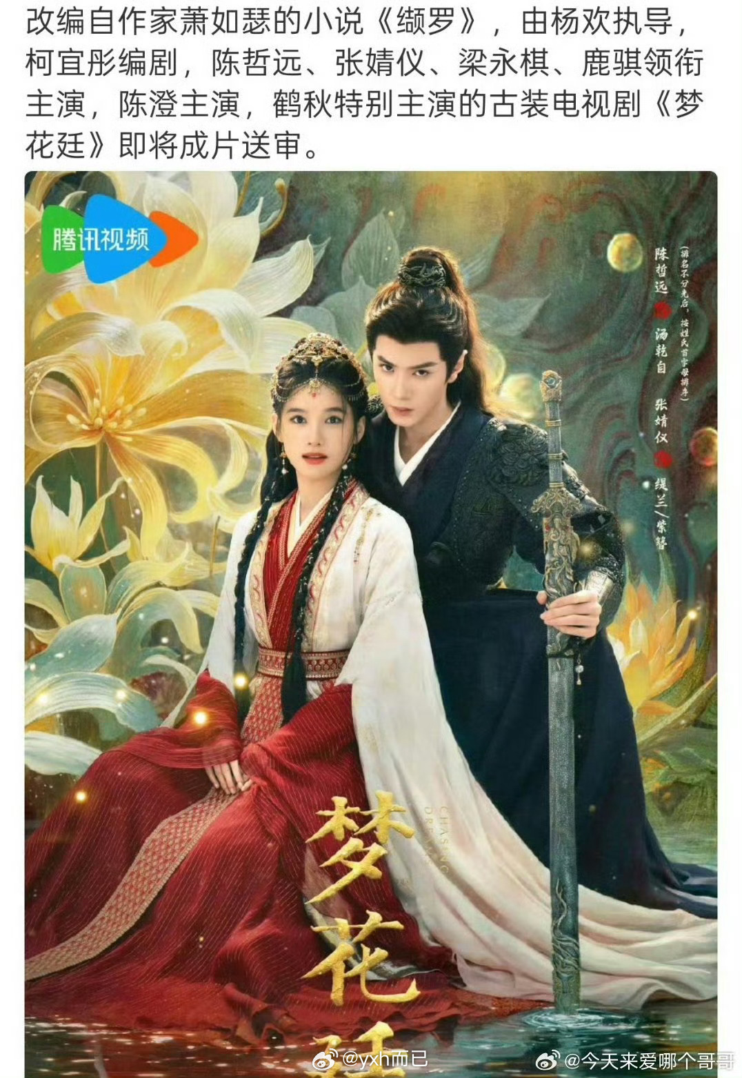 陈哲远张婧仪梦花廷即将过审下证 