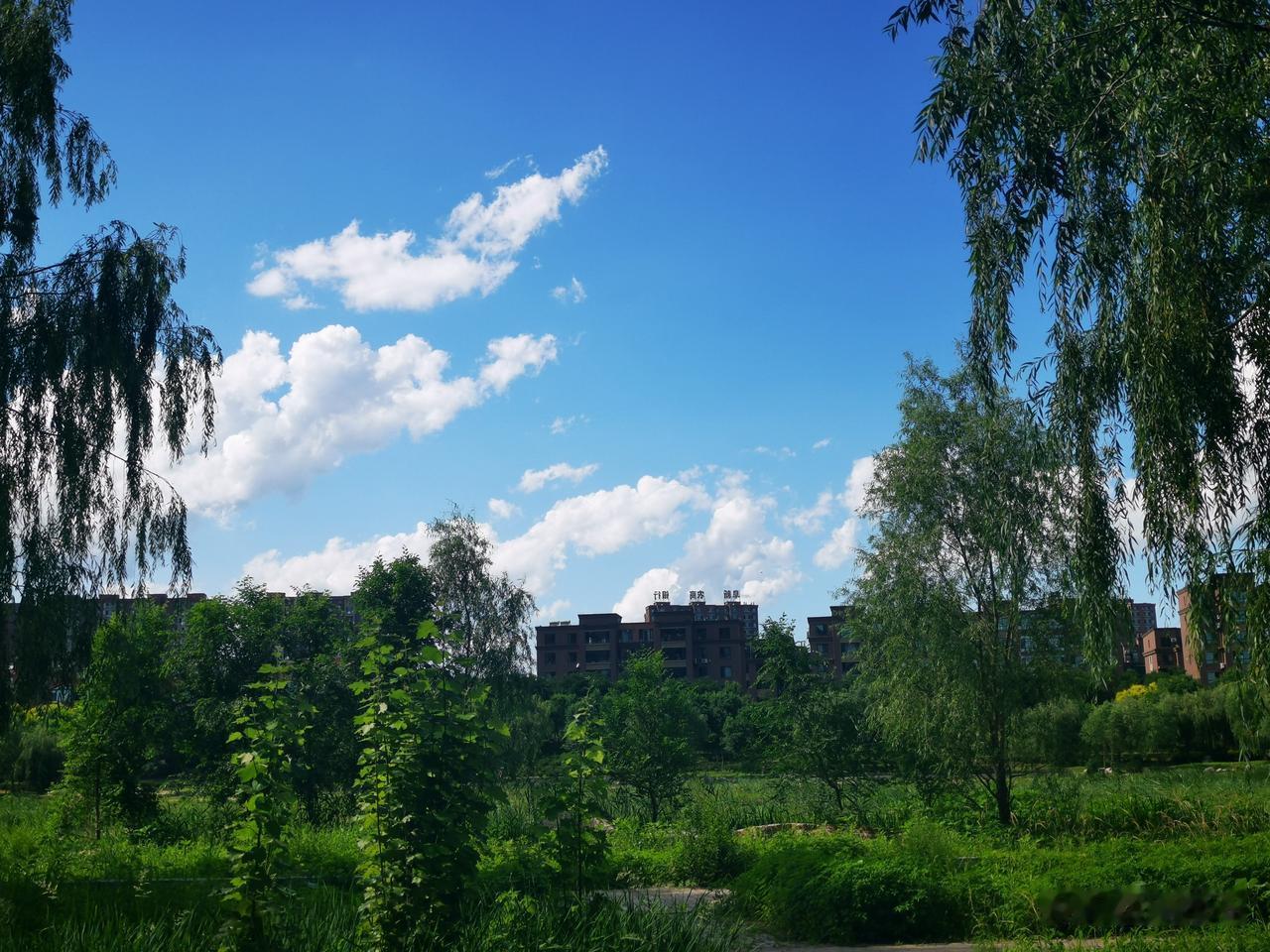 一个人定居在阜新大家说说行吗?阜新现在已经成为外地人选择定居宜居的首选城市了，没