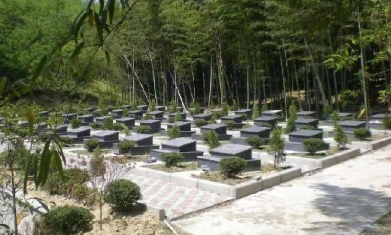 火化要免费了，太平间不许卖骨灰盒，老坟还能留吗？

2026年3月30日零点起，