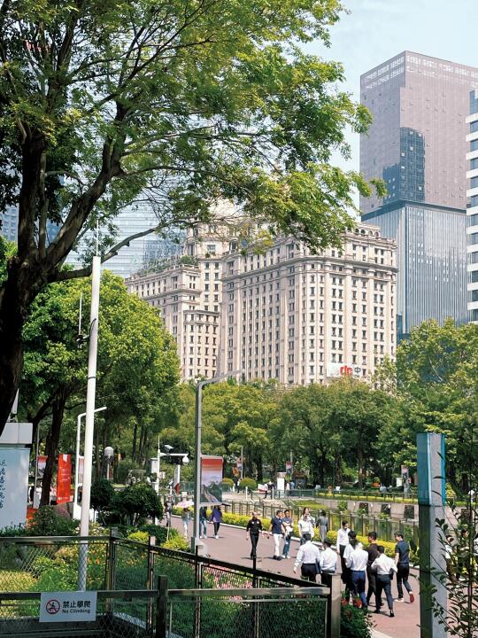 珠江新城春日纪🌿真的喜欢这种生命力