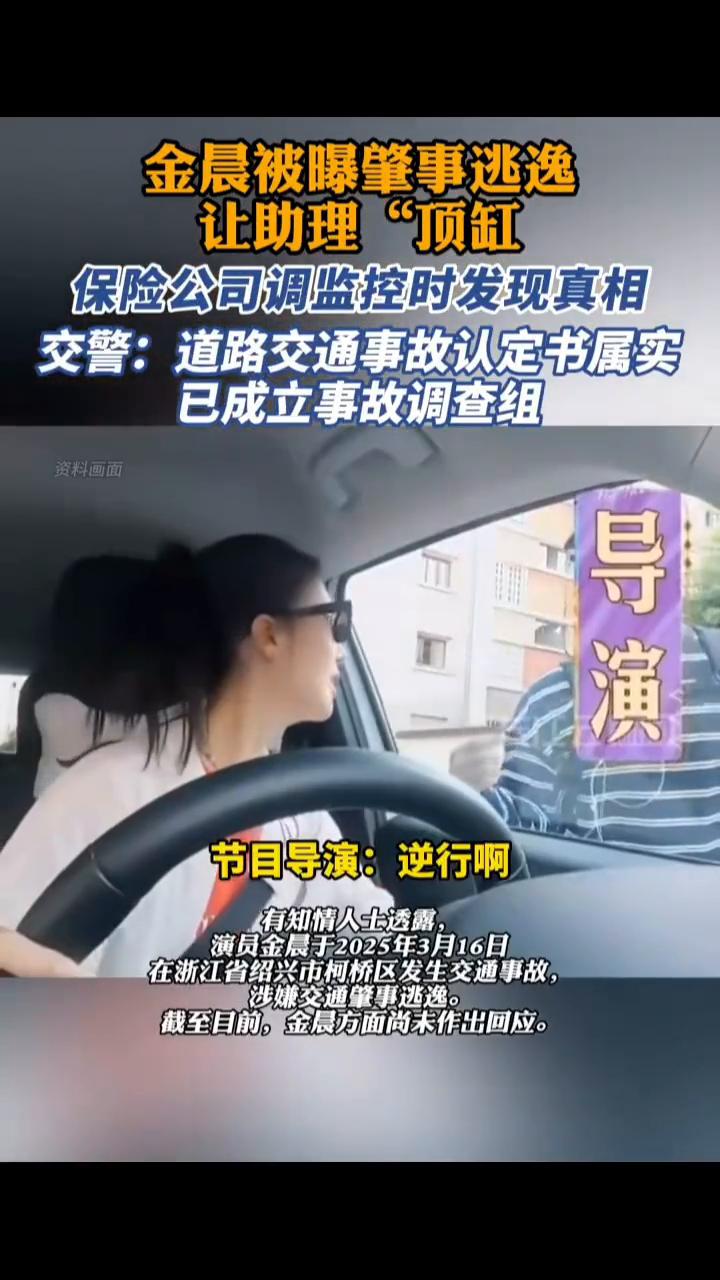 金晨被曝肇事逃逸，让助理"顶缸"，保险公司调监控时发现真相。交警：道路交通事故认