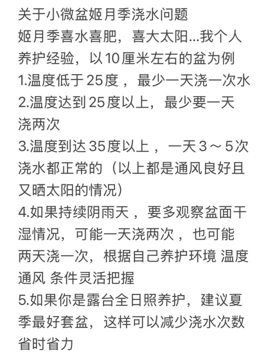 姬乙女盆景的浇水问题