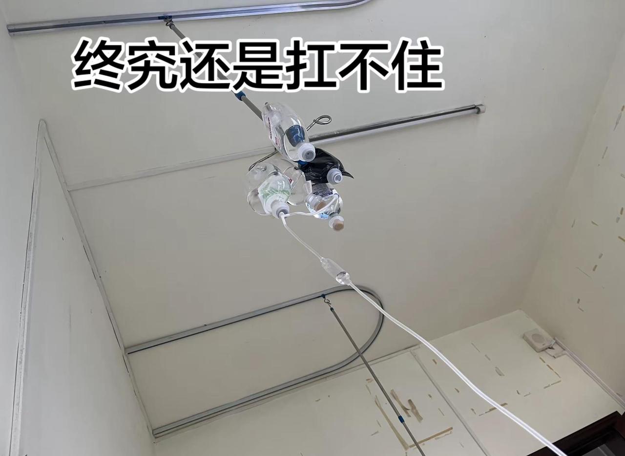 这些年经历了什么 生活与我 短视频变现热门音乐