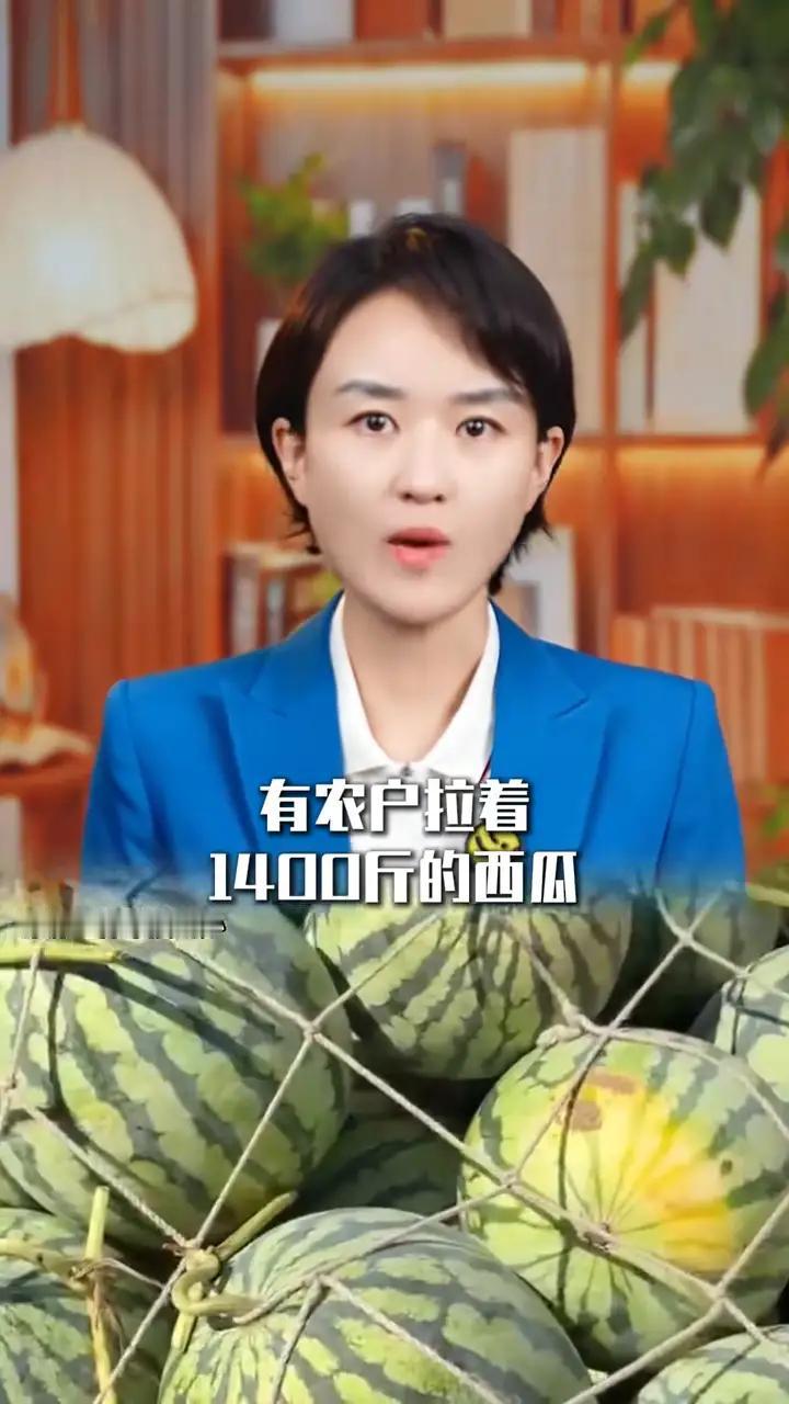 河南西瓜滞销引全城接力，爱心比瓜甜

近日，河南西瓜遭遇严重滞销，瓜农们的心境比