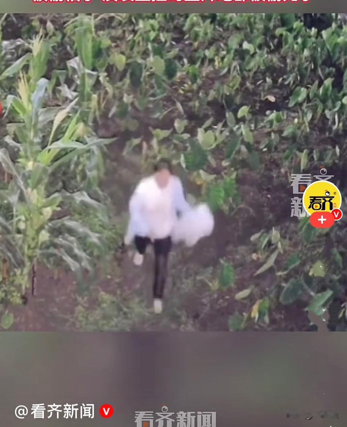 近日，浙江凌晨四点大家伙都还在熟睡，外面黑漆漆一片，有个女子居然专门爬起来，拎着