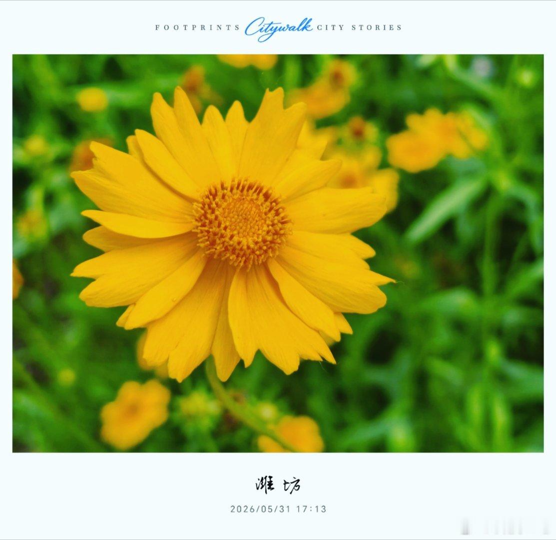 ㊗️祝各位大朋友，小朋友们，节日快乐🙂🙂🙂🙂儿童节