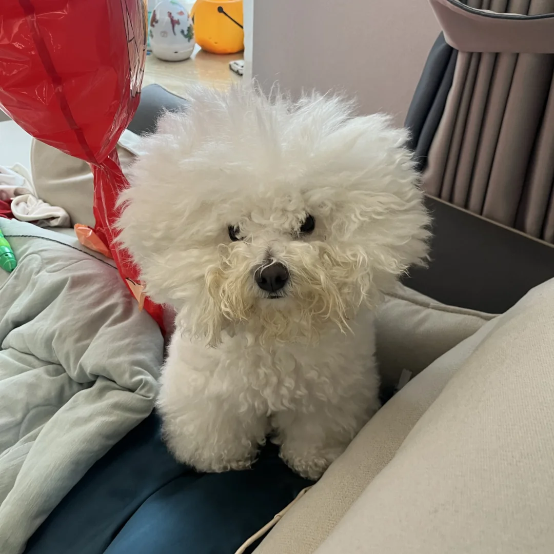 救命