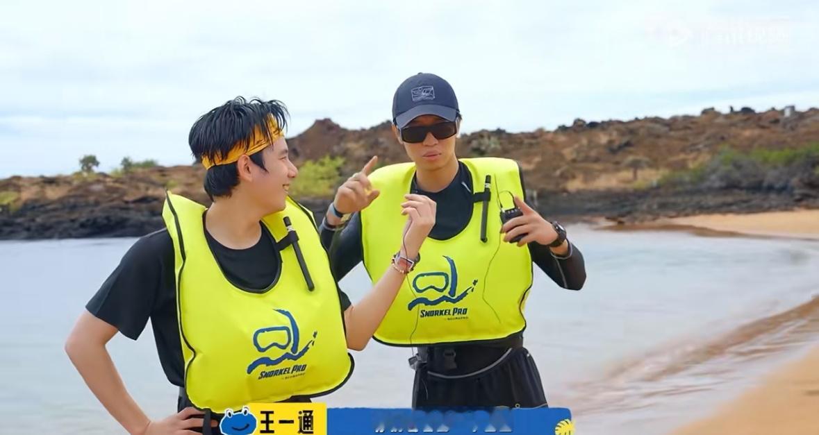 胡先煦浮潜遇到鲨鱼 浮潜变冒险大片！胡先煦王一通看小鱼时发现鲨鱼，紧急回岸后，胡