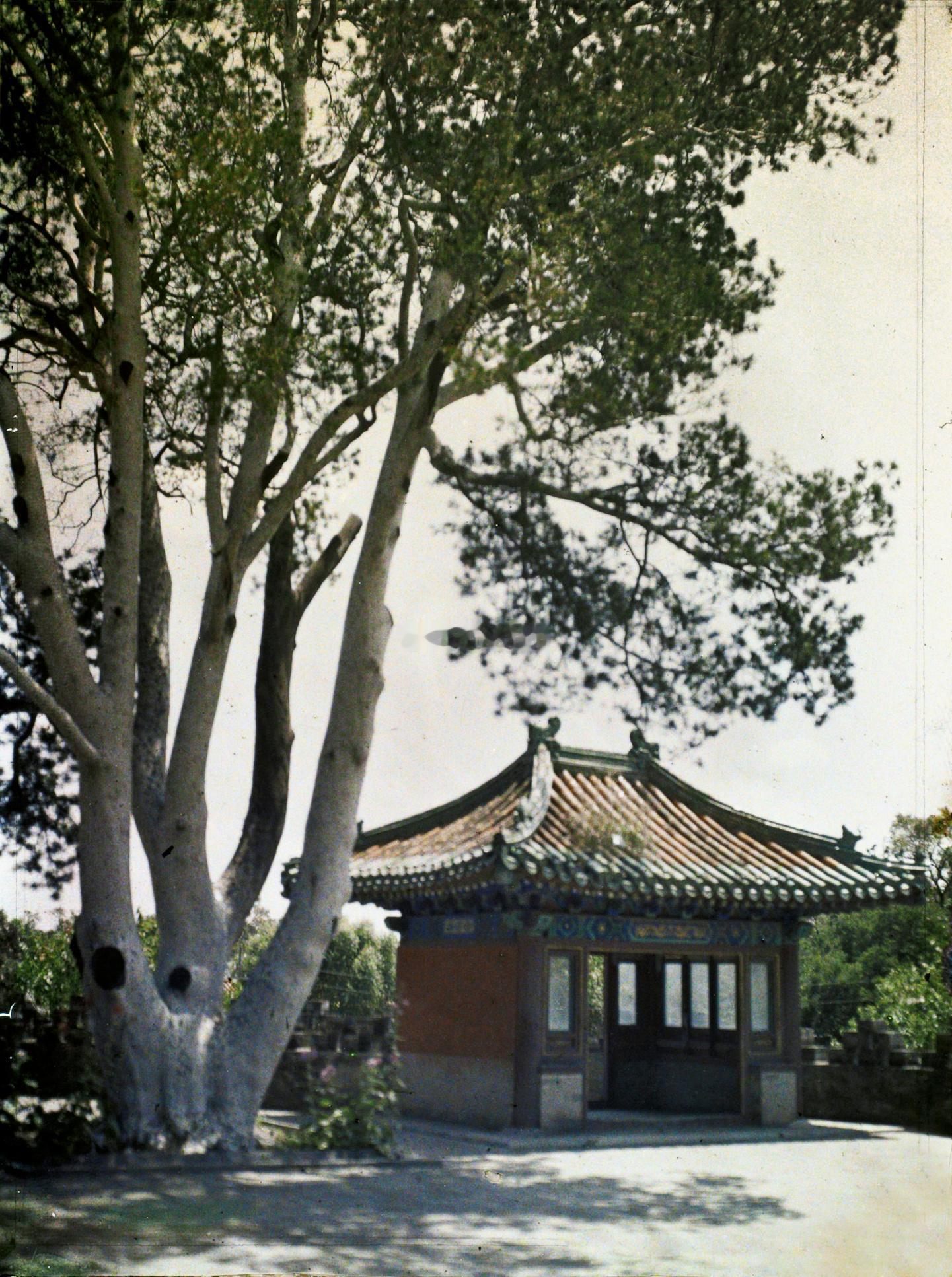 'White Robed General' in Beihai, Beijing
