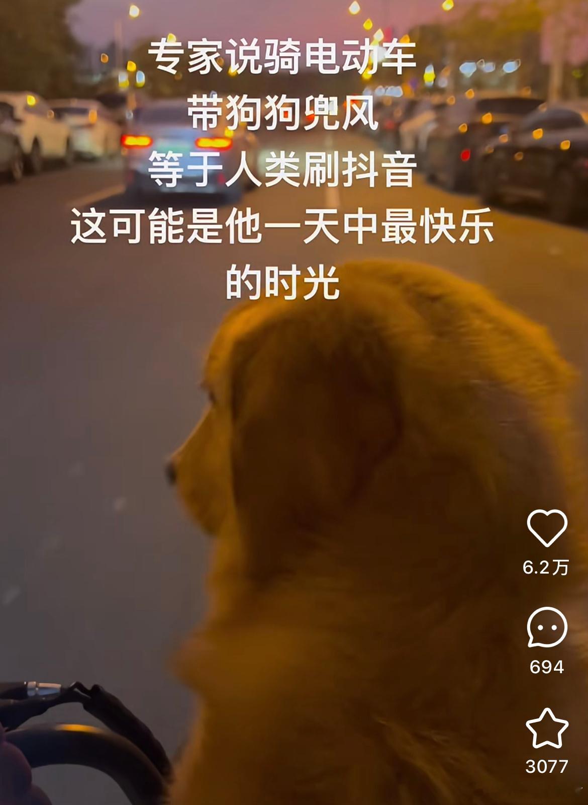 人也喜欢兜风。 ​​​