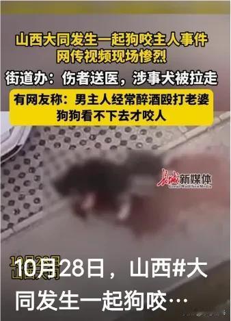 深夜的街道上，一名女子不幸遭遇了两只大型犬的猛烈攻击，现场情况异常危急。近日，这