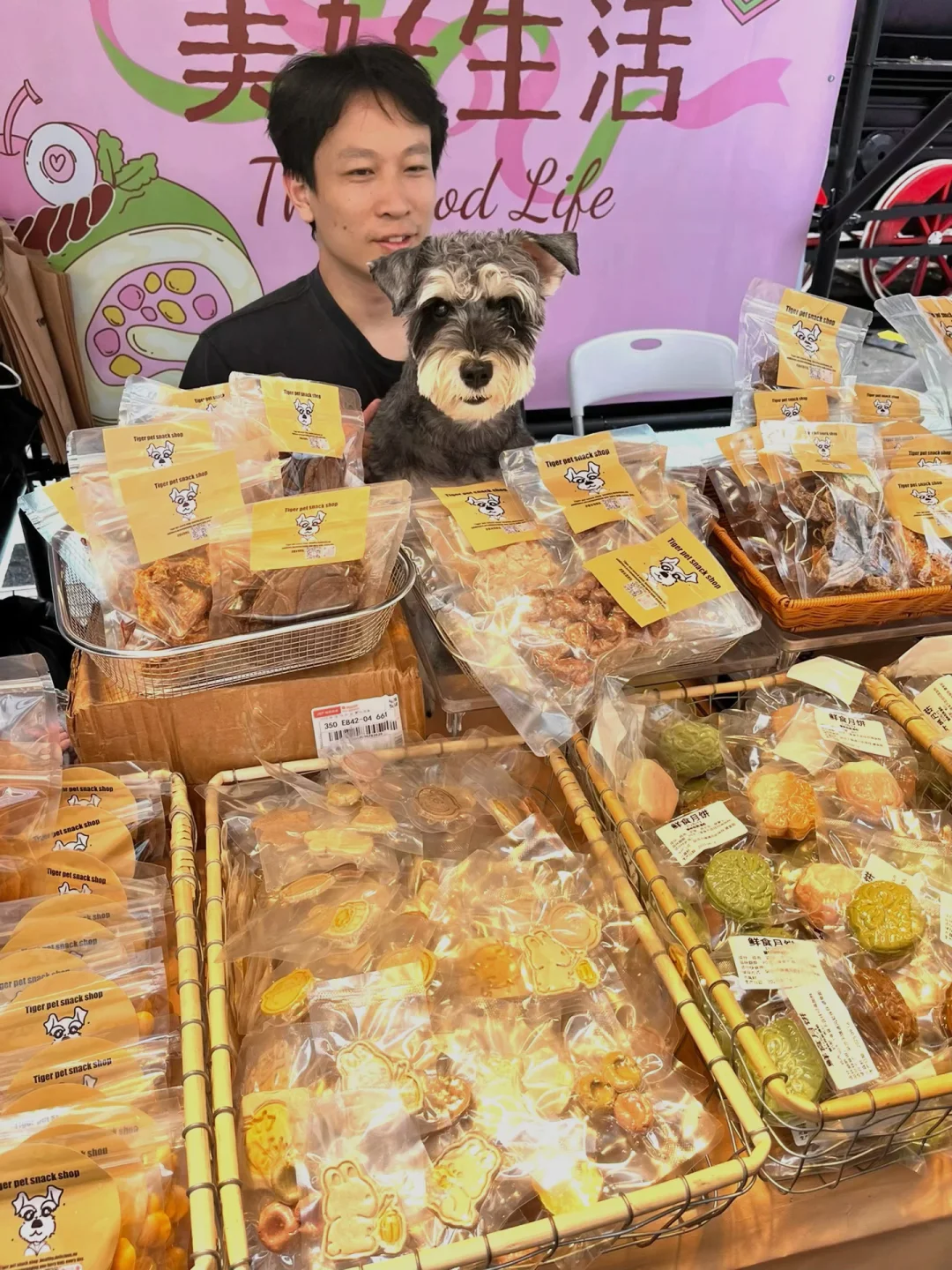 郑州！请记住这个👆🏻哥哥和这只雪纳瑞～
