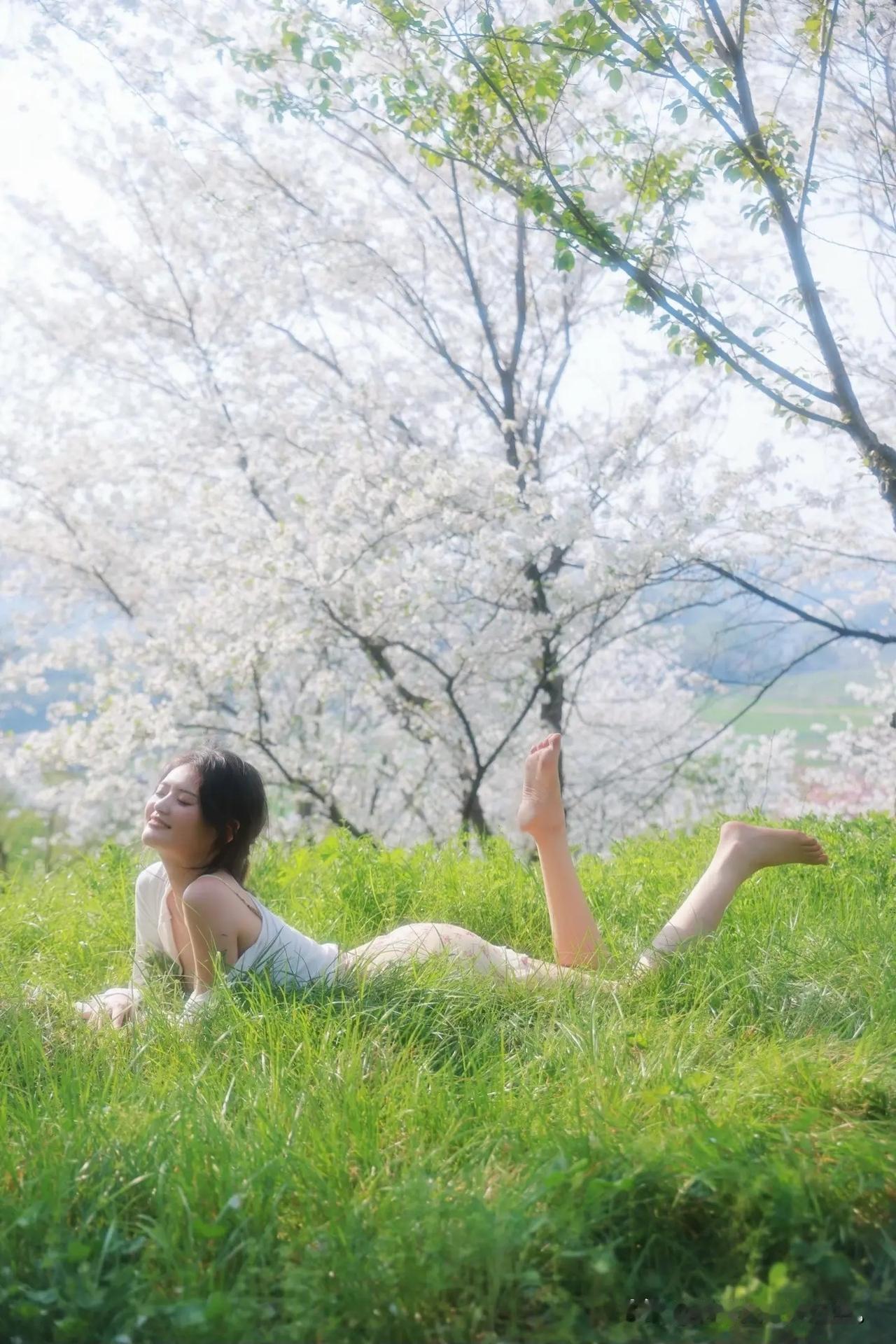 躺在樱花树下的绿草地，闭上眼享受春风，连脚趾都忍不住快乐摇摆～仙女赏花踏春