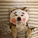 娴颖热读体育