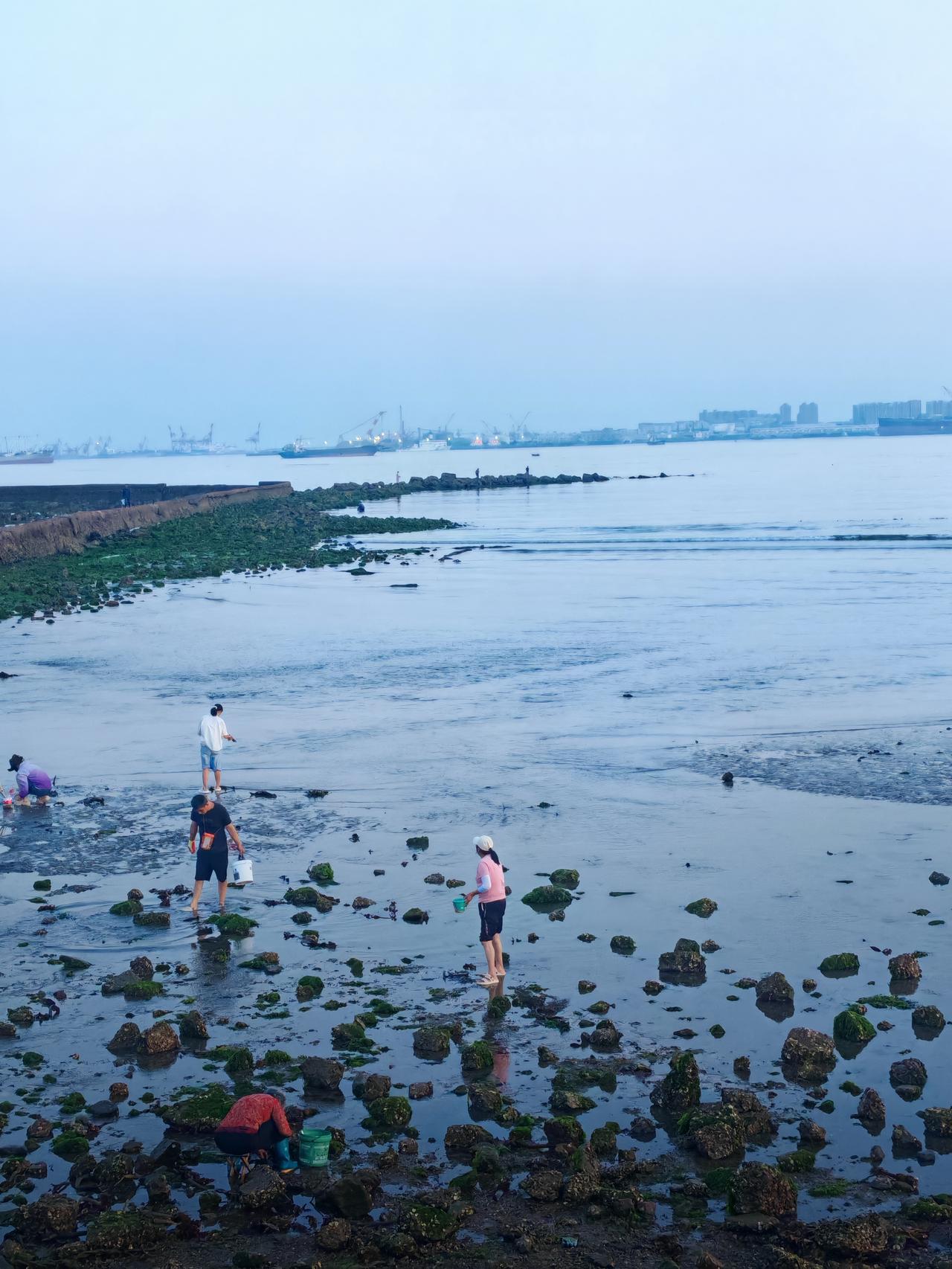——分割线——
征文已过，不互。