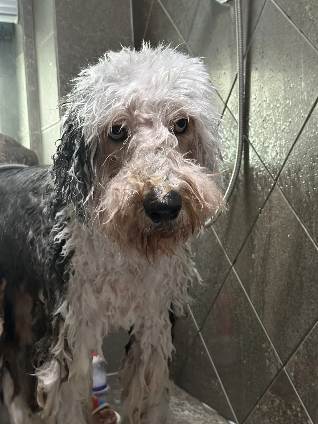 开年了，洗一洗又是香香哒