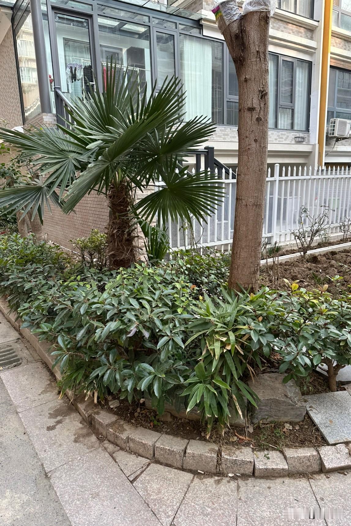 写头条贵在坚持，
唯有坚持，方能有所收获。
我写头条5年，
不论流量是否如己所愿