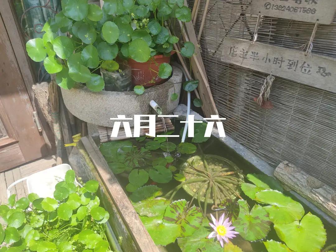 不是迷信！今日秋后第一天，记得：1不出，2不去，3不吃，别大意

立秋一过，节气
