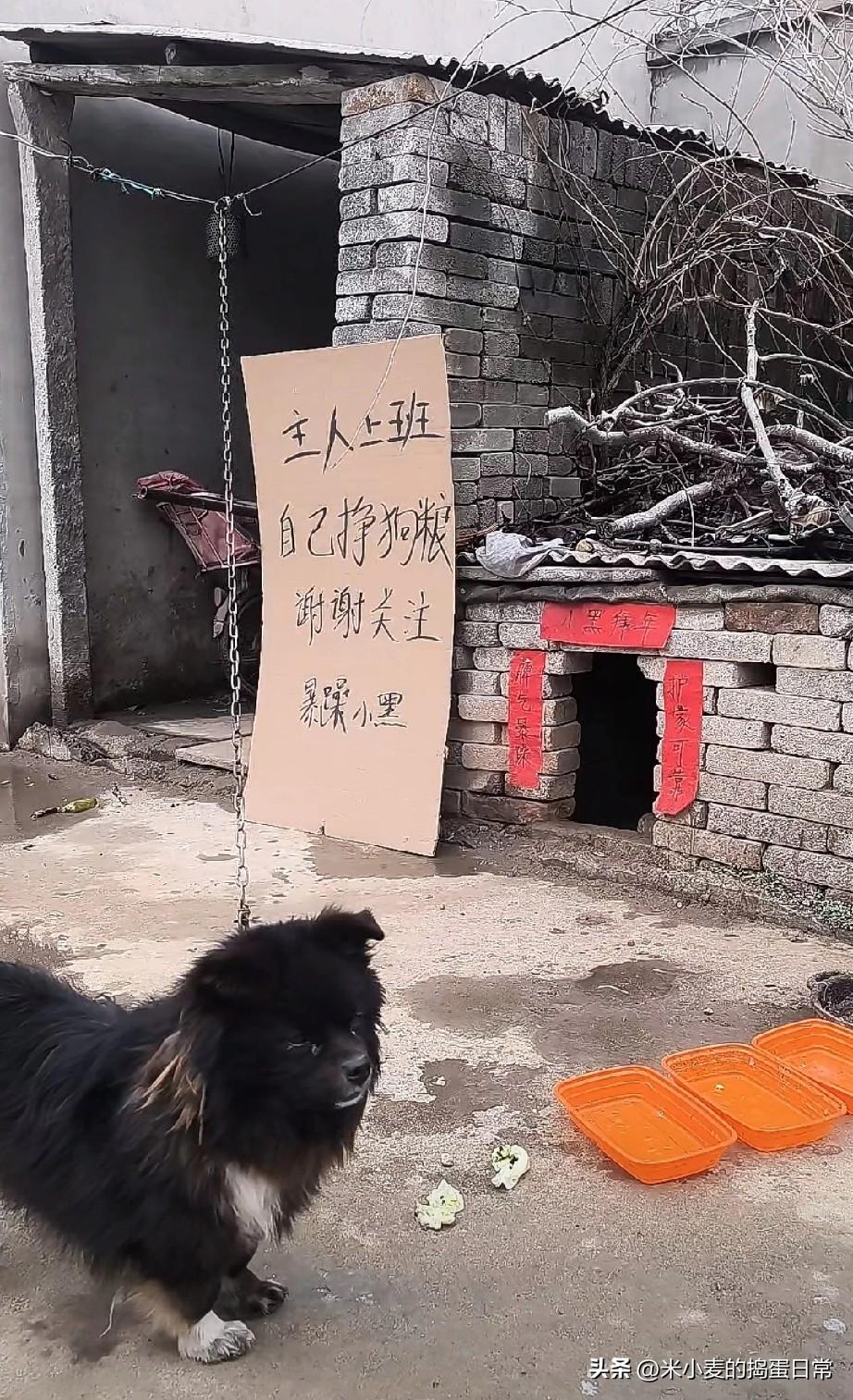 两千人围观一条狗直播，我却笑不出来
 
现在的直播圈，真的越来越魔幻了。
 
刷