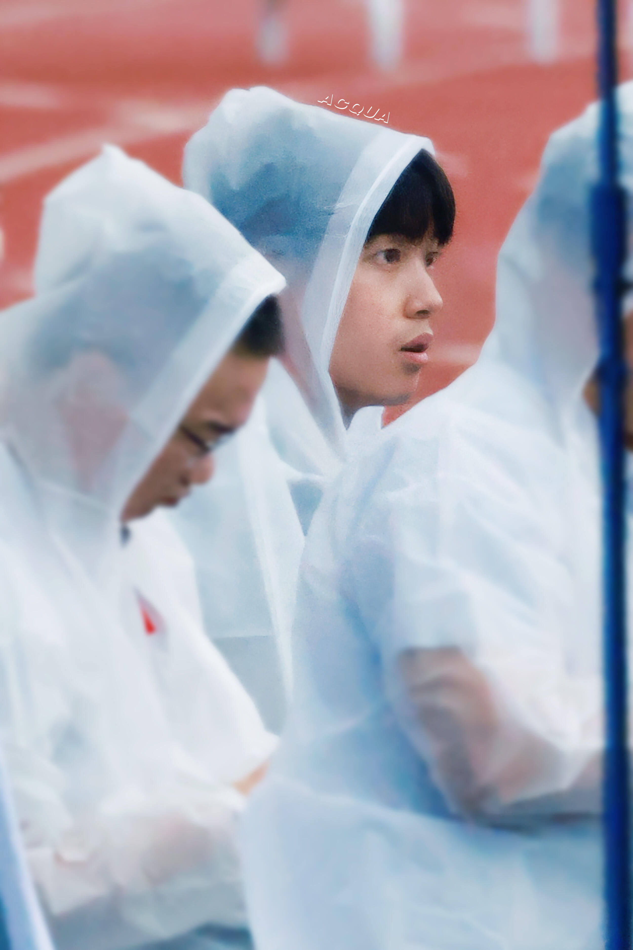 只是呆萌🐽汪顺 cr.🍠ACQUA 