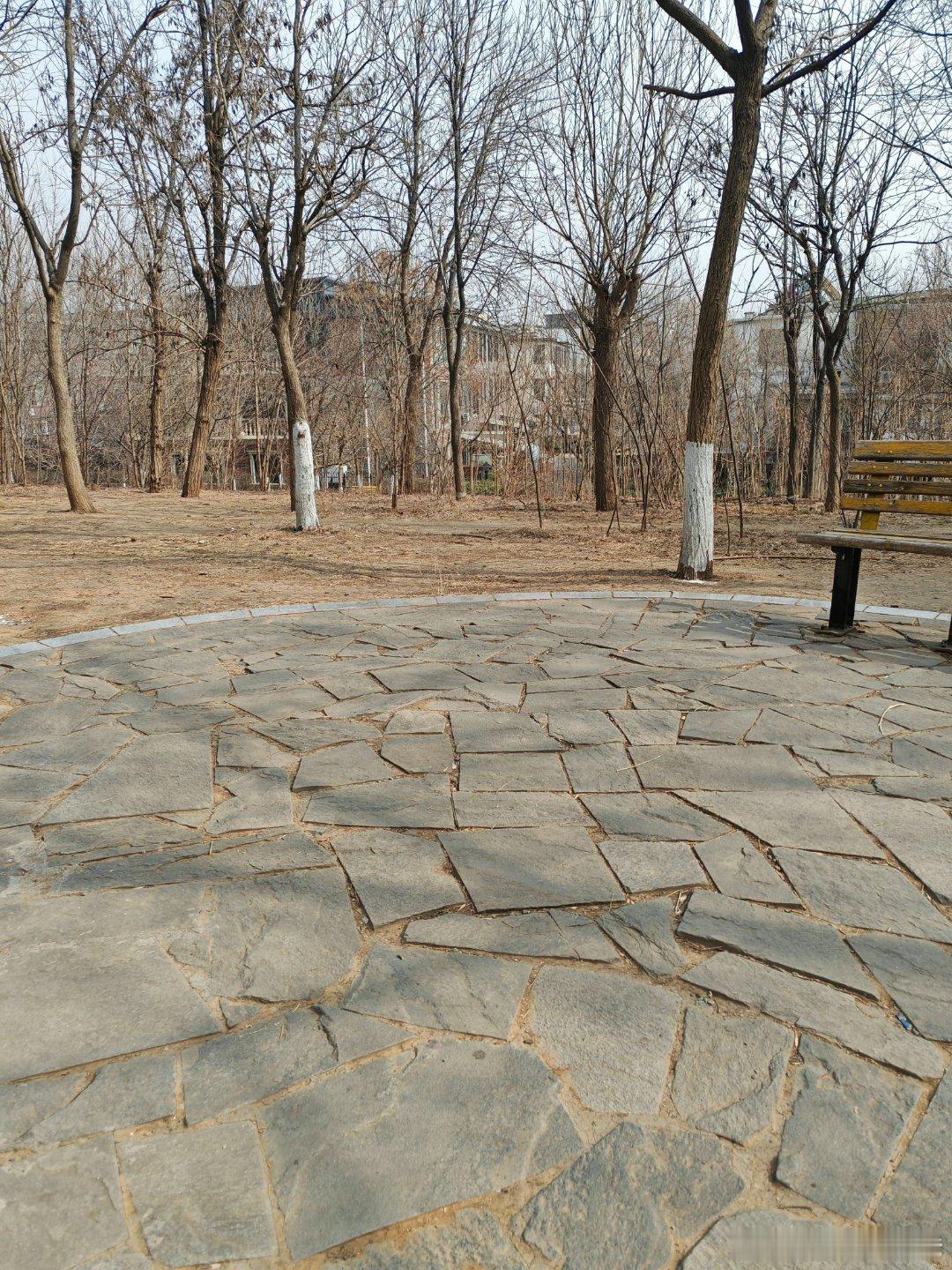 今天又没喝酒，年都快过完了，滴酒未沾，