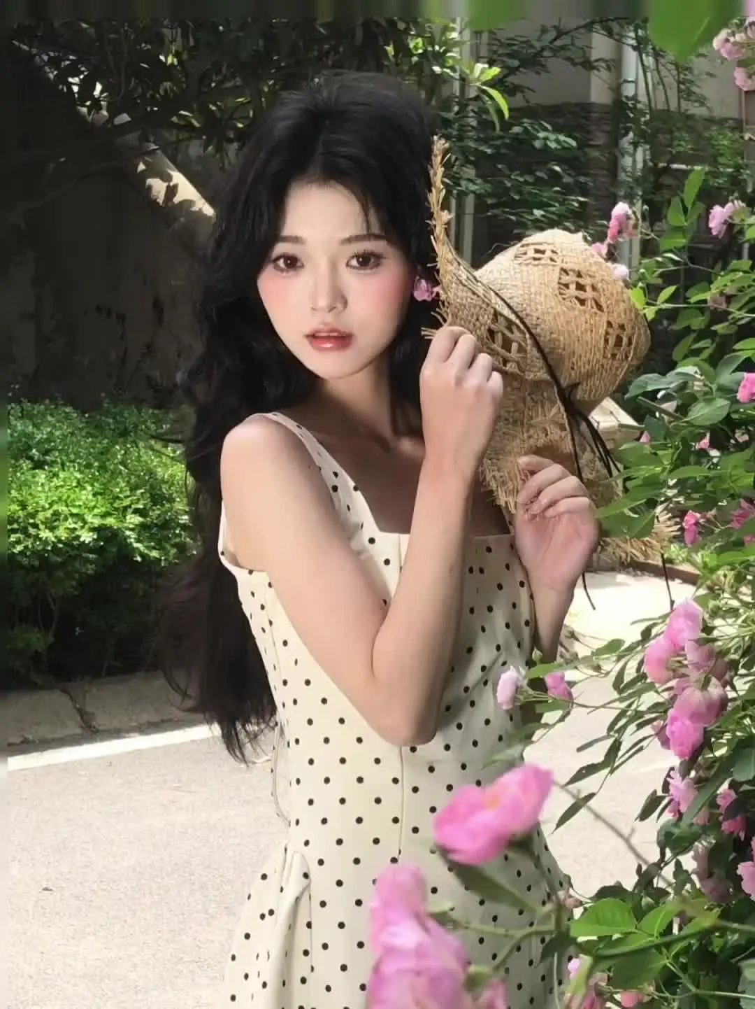 蔷薇花开