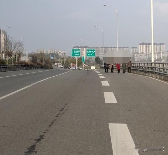 不少行人走上桥上行车道。
网友爆料称：南充市高坪区物流大道林海北路上跨桥上
不少