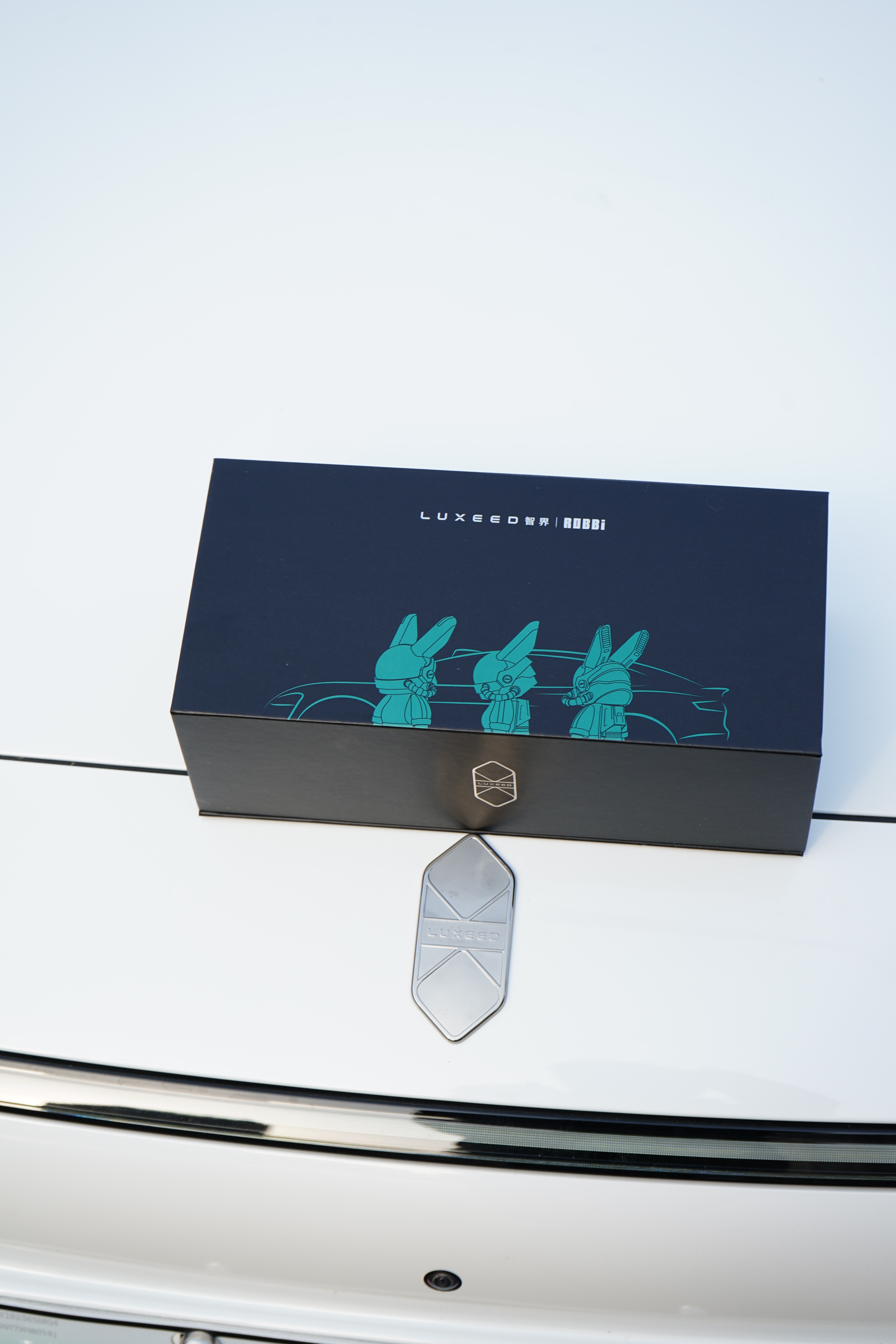 智界自带潮流基因，还专门和潮流品牌ROBBi联合，推出的限量联名礼盒，我先晒一步
