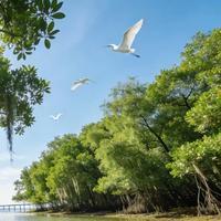 联合国喊美国还21亿欠费！145国定公海新规，中国厦门强势竞总部
 
联合国快揭