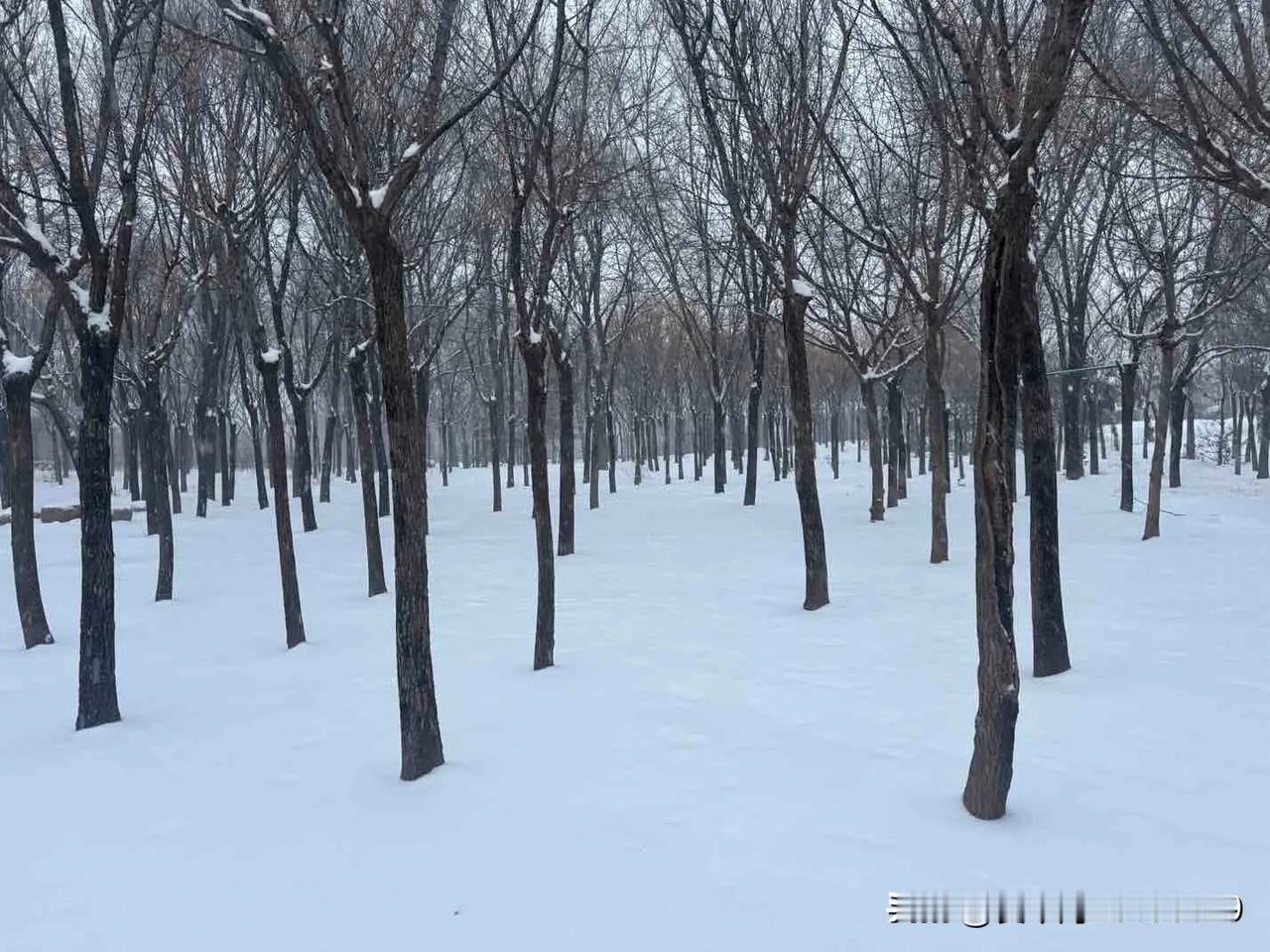 又是这个时间醒来，听见窗外寒气呼啸，抓起手机来看，手机显示室外温度零下8度，这大