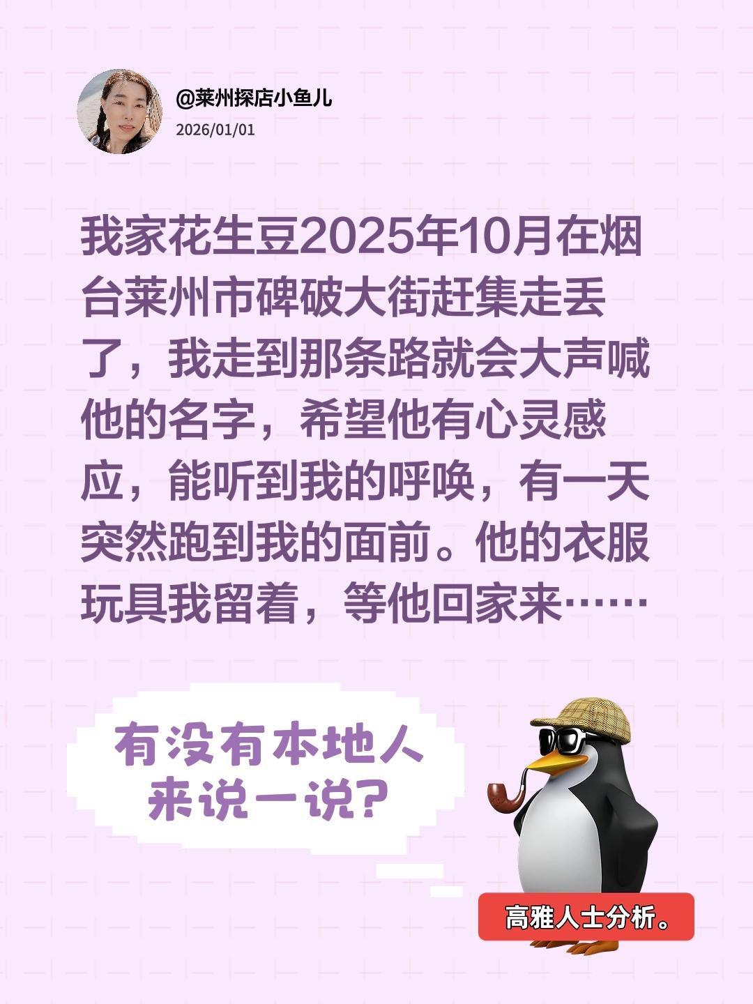 同城寻狗启事。我评论了 的作品： 我家花生豆2025年10月在烟台莱州...