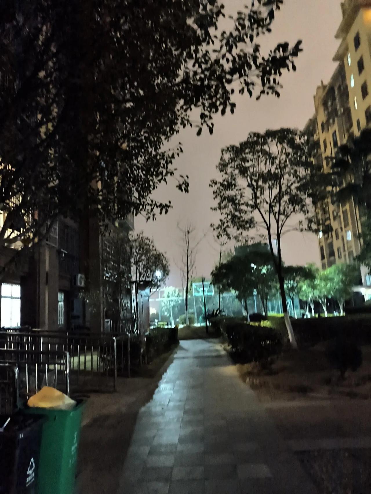 这个元旦怎么过在家躺平