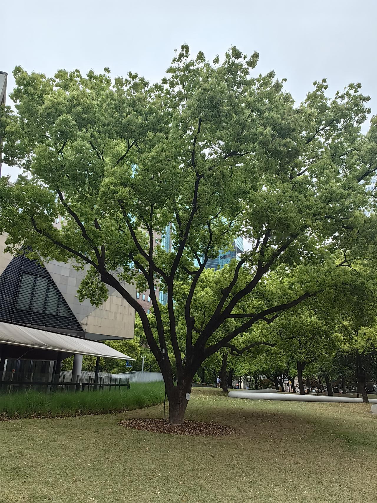 完了，完了，彻底完了！今天A股走势预测结果令人失望！！
开盘点：4040点左右