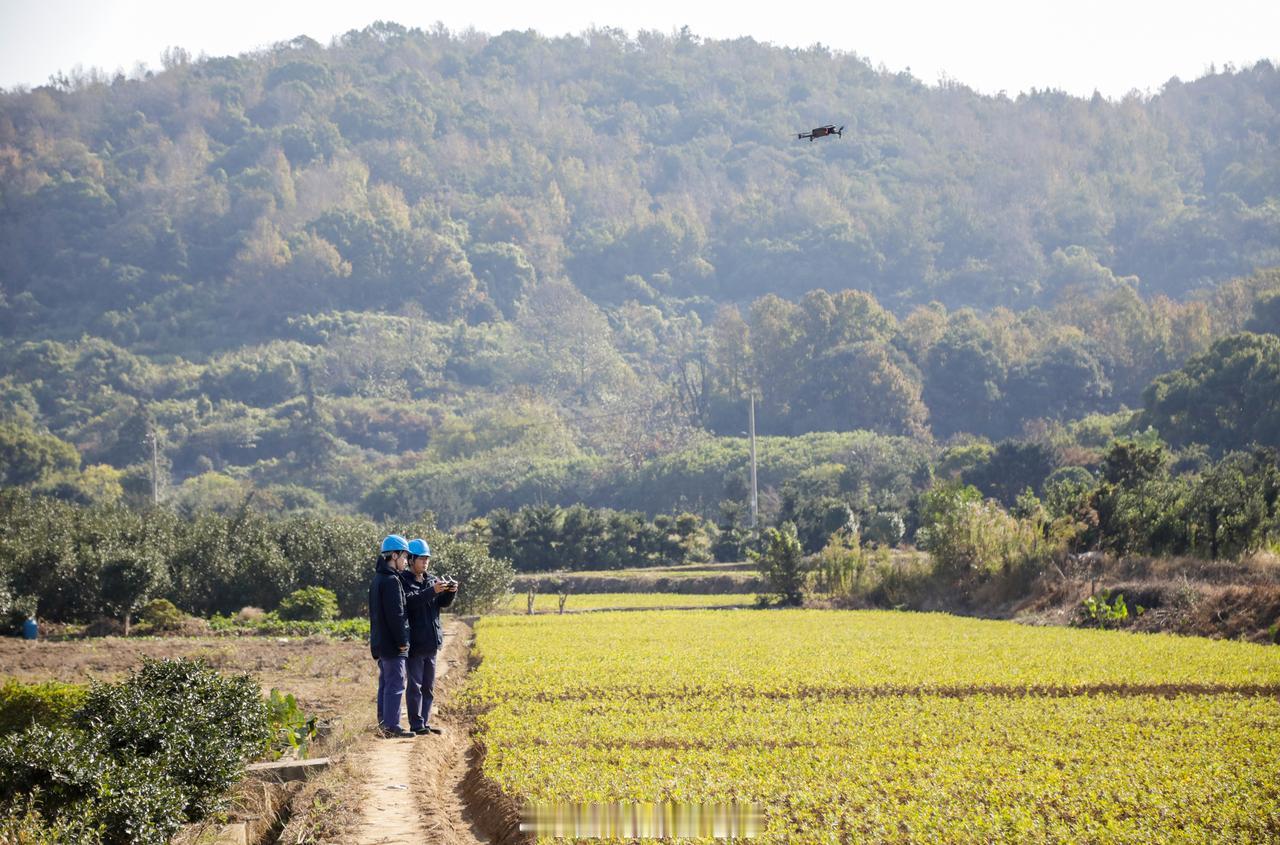 可靠供电守护乡村安】11月20日，@国网宁波供电公司 工作人员来到北仑区洪岙村开