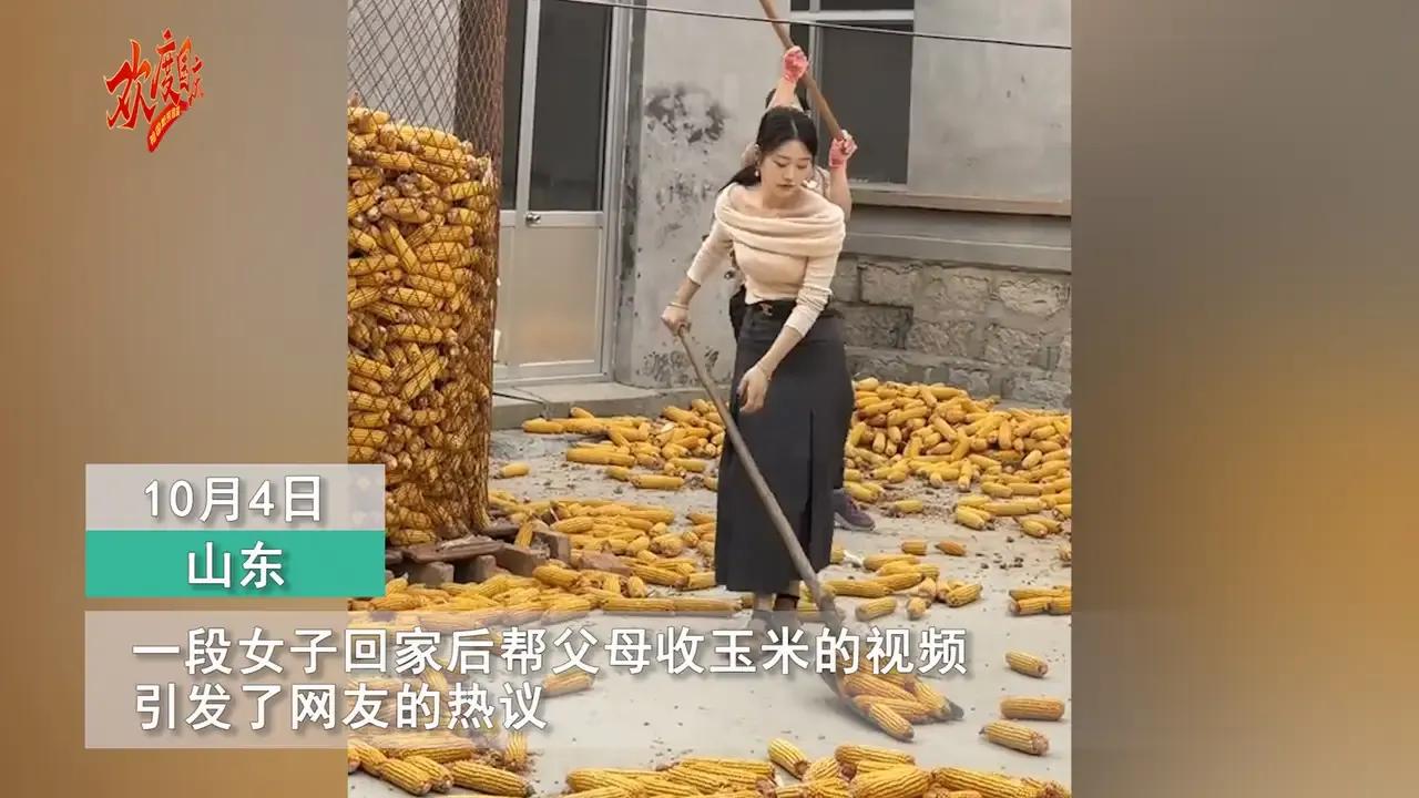 #女生回家一身长裙帮父母收玉米#我先要问的是，这个视频是谁拍的，又是谁发的。帮父