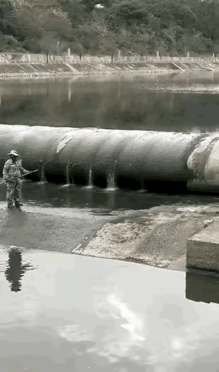 人是冷兵器之王，这不是白叫的。两个训练过的人，用长枪都可以把老虎狮子给干了～～～