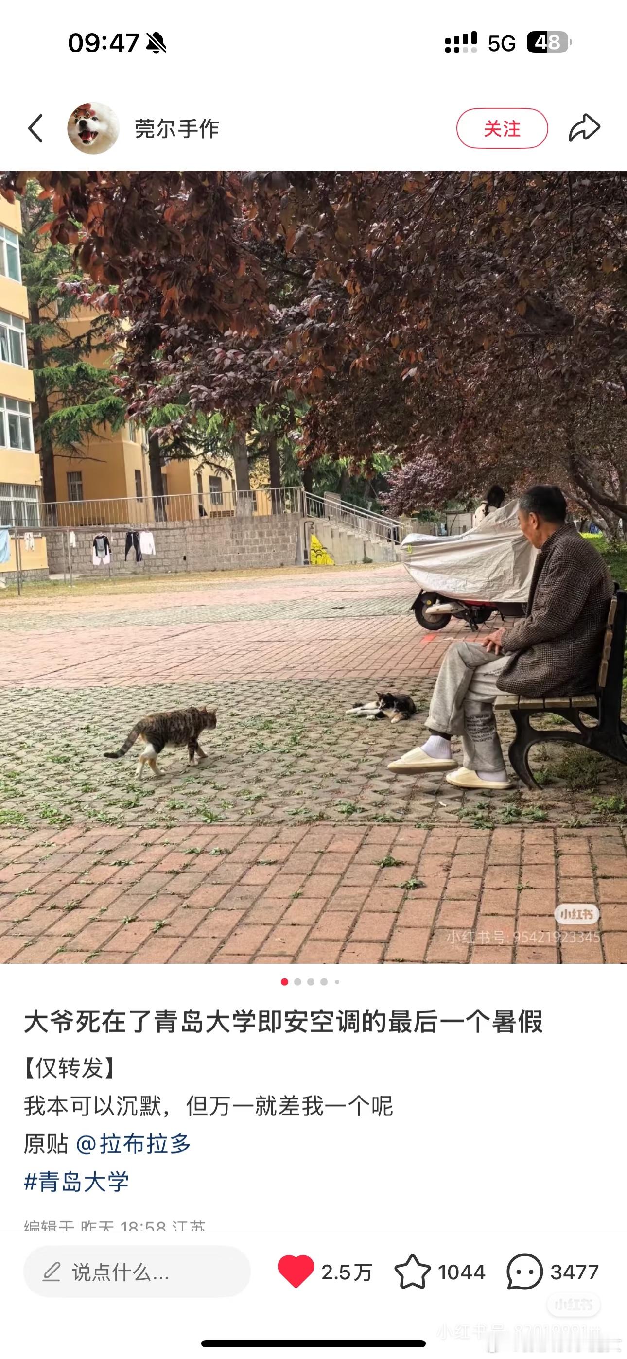 青岛大学已开始装空调死去的门卫老张是所有人的父辈缩影，是每个打工人的镜像，是阶级