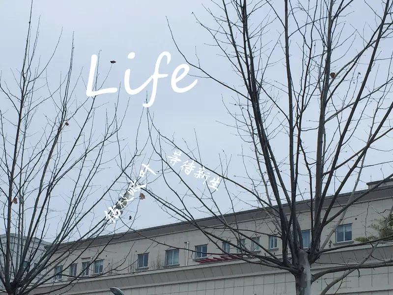 自媒体有那么难赚到钱吗有，可以说难难难，难上加难，真心实意写真实生活，可写出来的