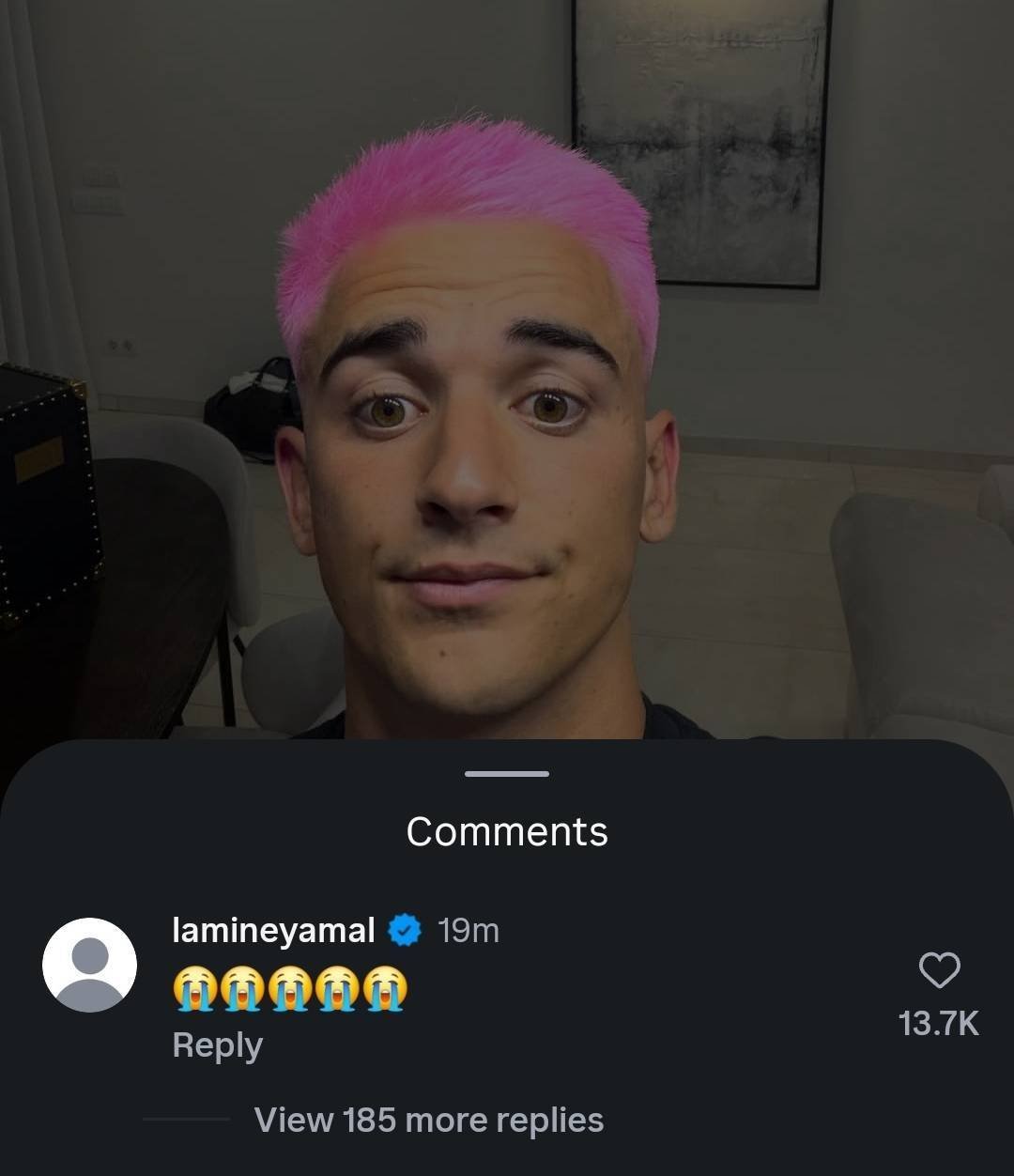 亚马尔评论加维粉色发型：😭😭😭😭😭巴萨世界杯西班牙夺得世界杯冠军