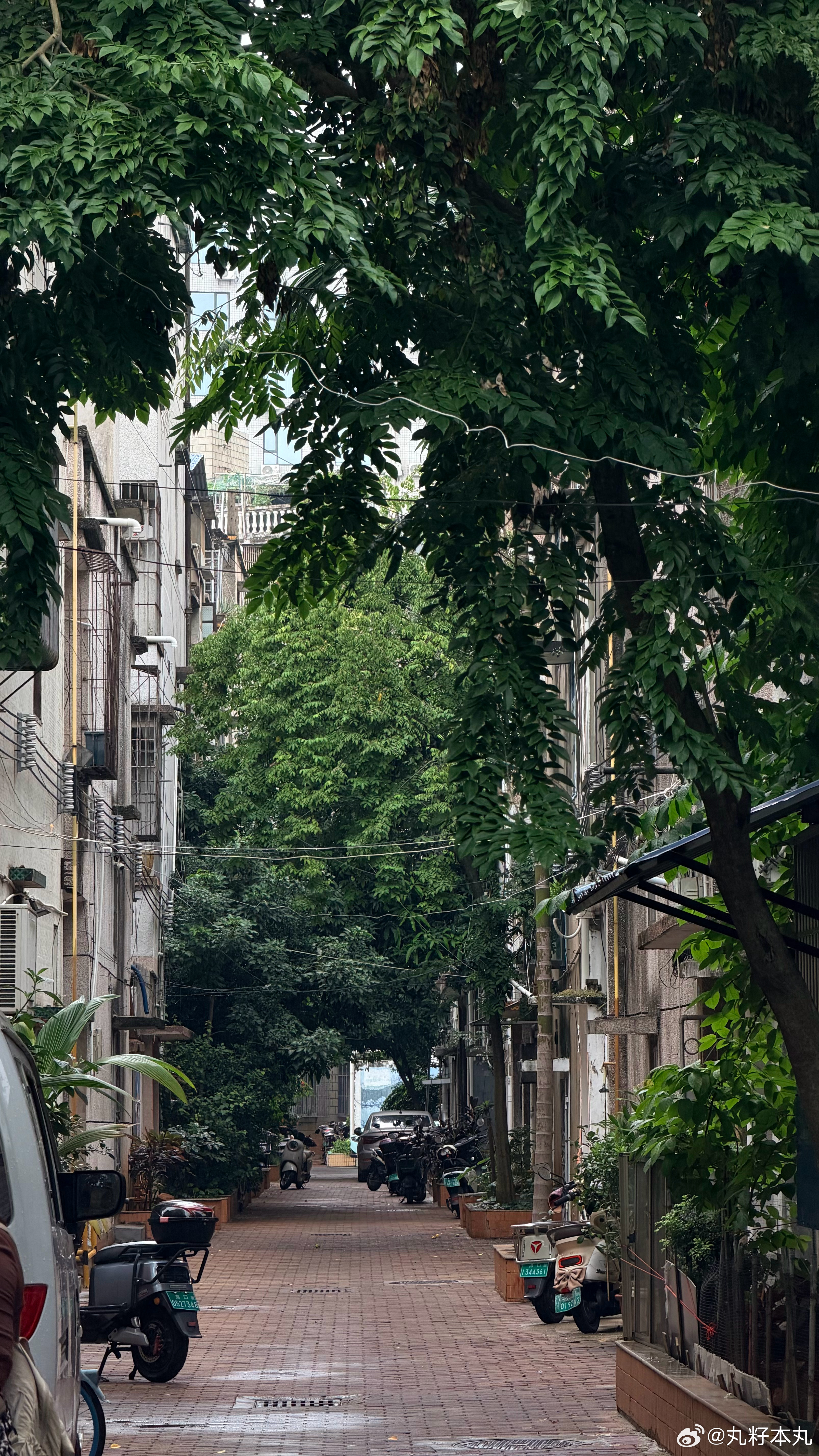 海口海口🍃 ​​​