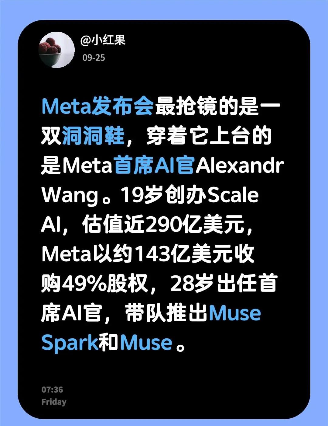 Meta首席AI官Alexandr.Meta发布会最抢镜的是一双洞洞鞋，穿着它上