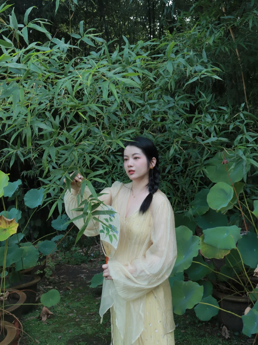 傍晚去喂蚊子的同时拍了张美照☺️