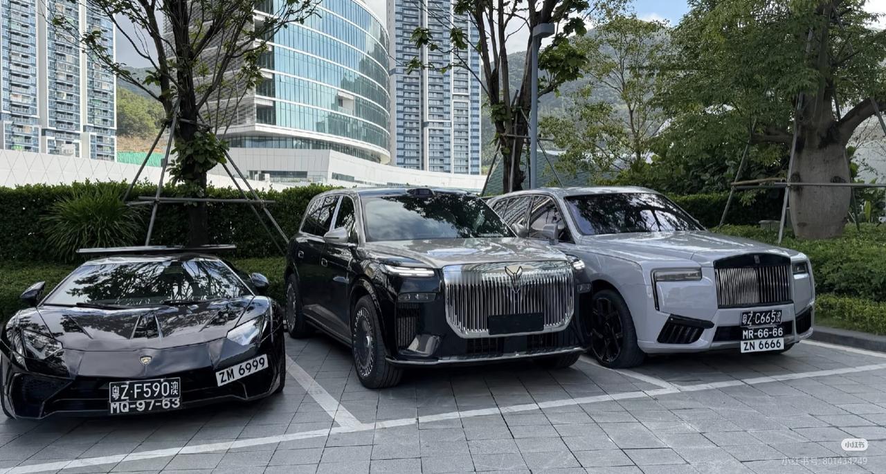 岚图泰山的气场是真大啊