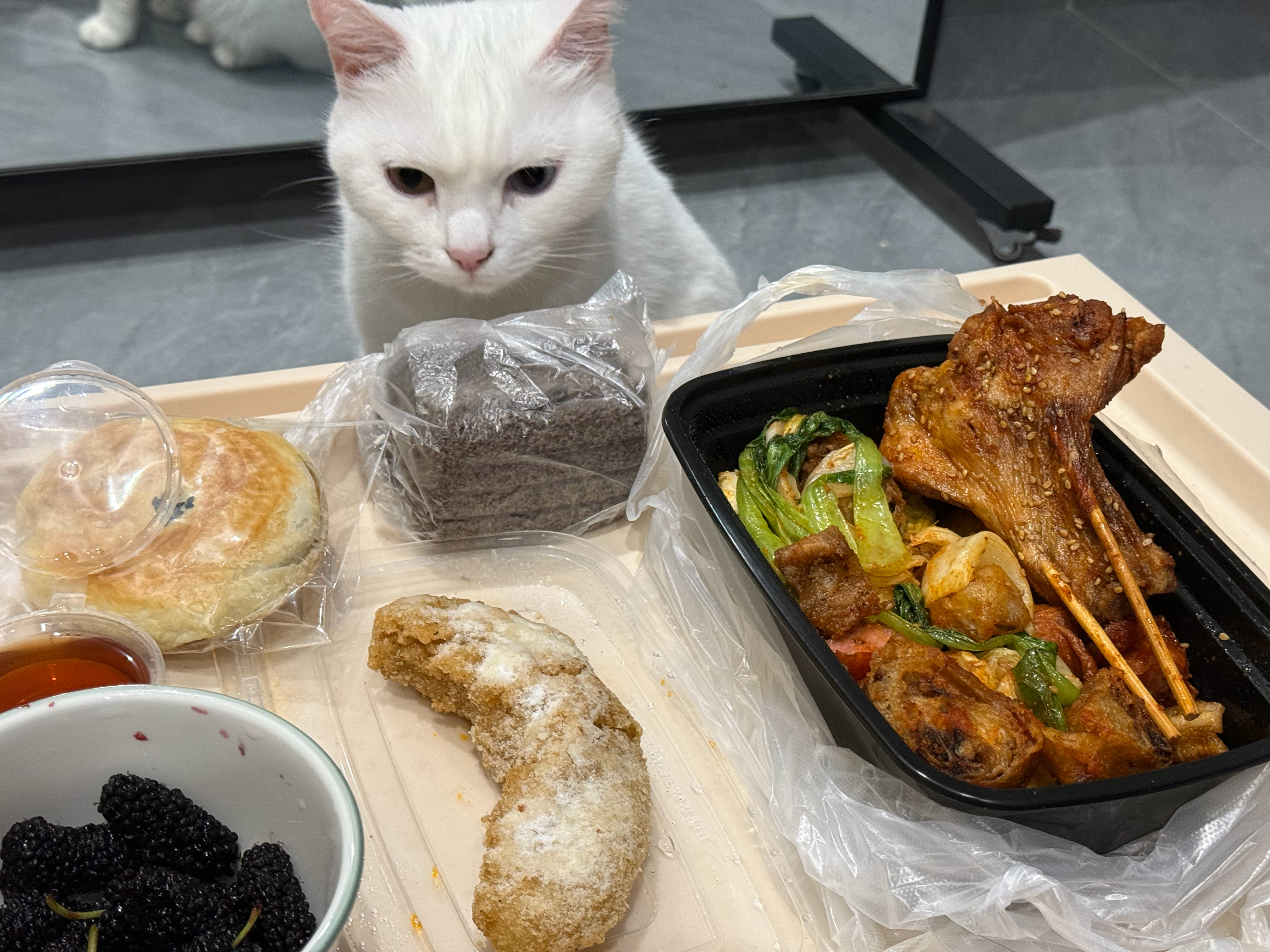可以做到不觉得猪咪很萌吗完全不可以！！！