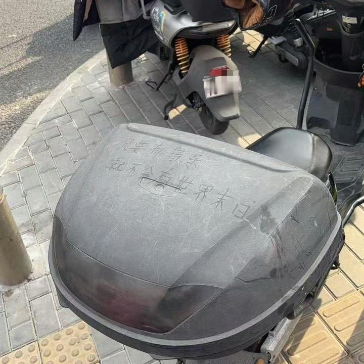 🎵我就是这么爱音乐🎵 