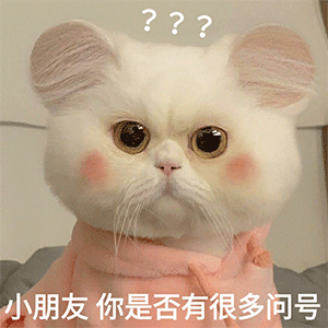 外卖订书钉什么时候可以灭绝 我已经被扎过两次了…… 