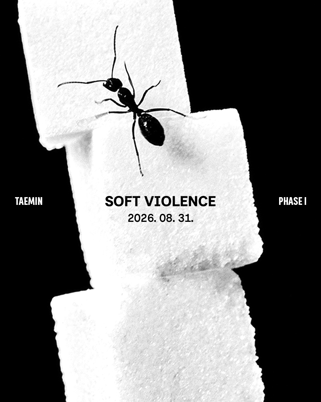 泰民 PHASE 1 : Soft Violence2026.08.31 6PM