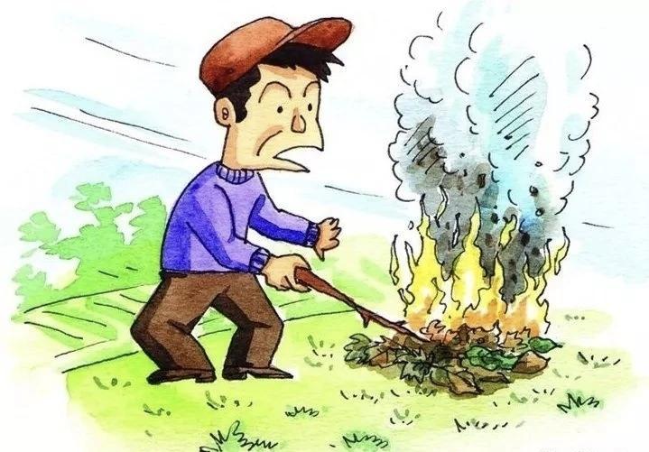 滨州阳信通报多起野外烧荒案例！违规焚烧秸秆被依法处理
 
十一假期，山东滨州阳信