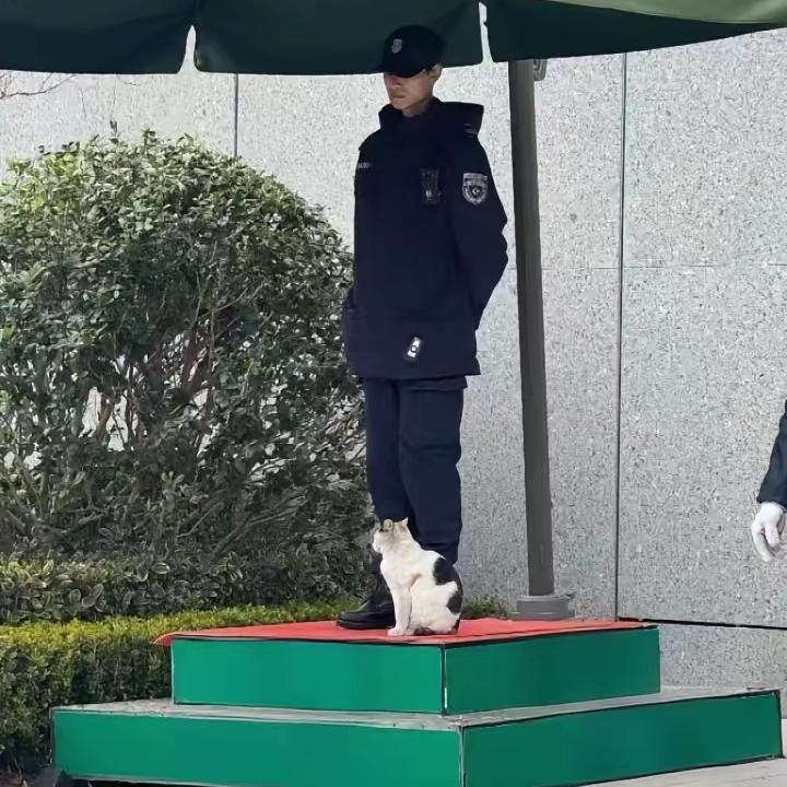 真的被邻居家儿子狠狠圈粉了！普通二本，投过上百份简历没回音，没躺平没抱怨，直接去