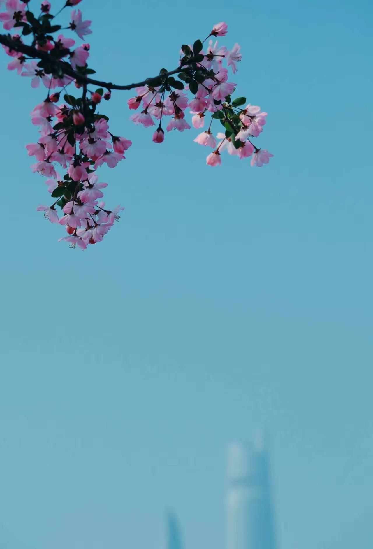 ☀️
美好的一天开始喽！

天空是蓝的，花是香的，我们是幸福的